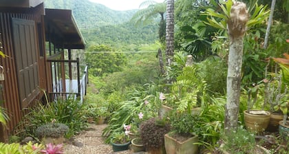 Daintree Holiday Homes - The Folly - Nature Retreat Daintree