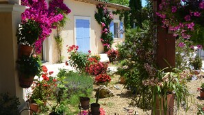 A garden with potted plants and flowers in front of a building with a blue shutter. - Single storey studio, private swimming pool, secure parking (Callian)