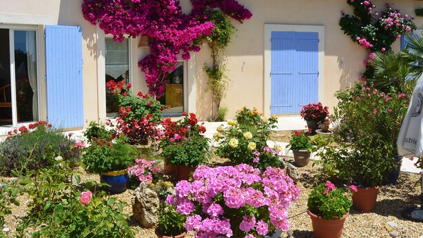 A building with blue shutters, surrounded by potted plants and flowers. - Single storey studio, private swimming pool, secure parking (Callian)