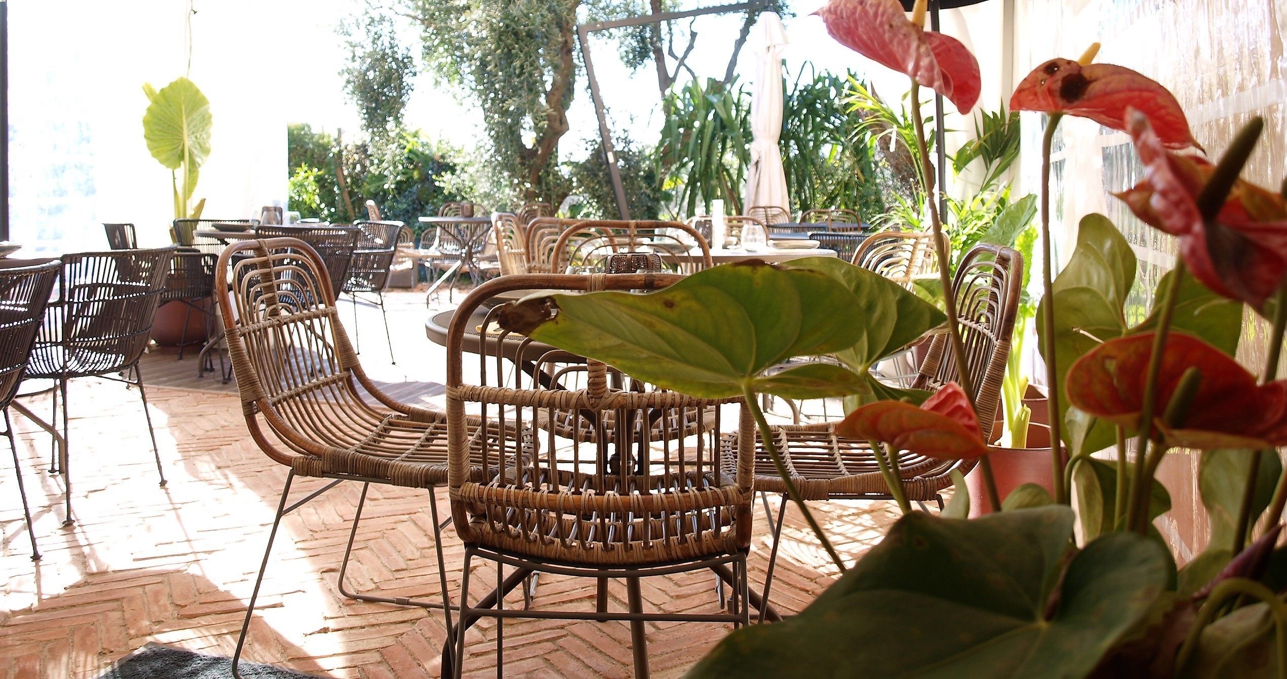 lunch and dinner served