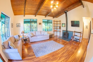 Smart TV, fireplace, DVD player, books