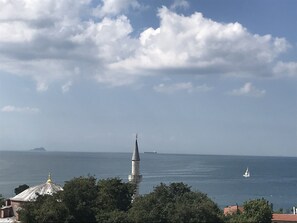 Vista desde la propiedad