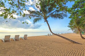 Camastros y toallas de playa 