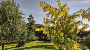 A well-maintained garden with various trees and a clear sky. - University Hotel (Prague)