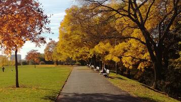 A park pathway with benches and trees.