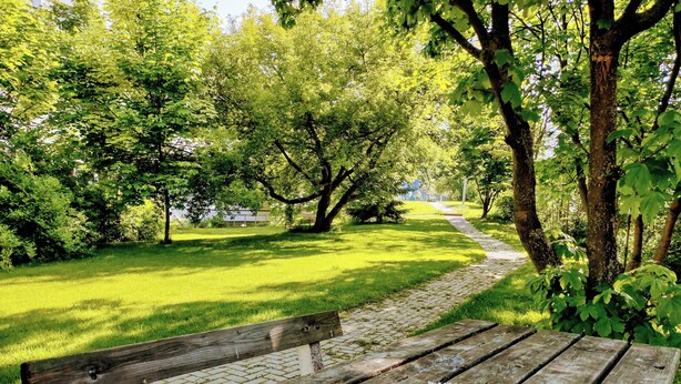 A wooden bench with a flower wreath in a park with green grass and trees. - University Hotel (Prague)