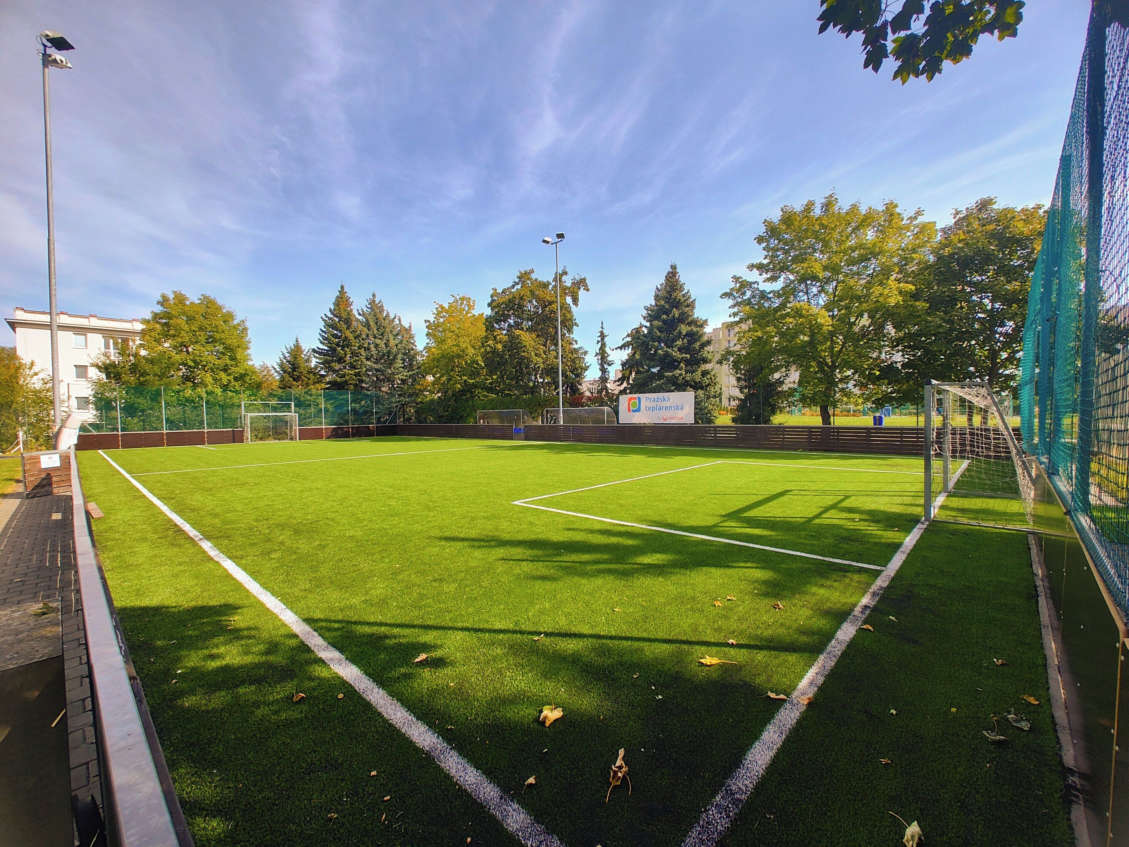 A soccer field with goalposts, a fence, and trees in the background.