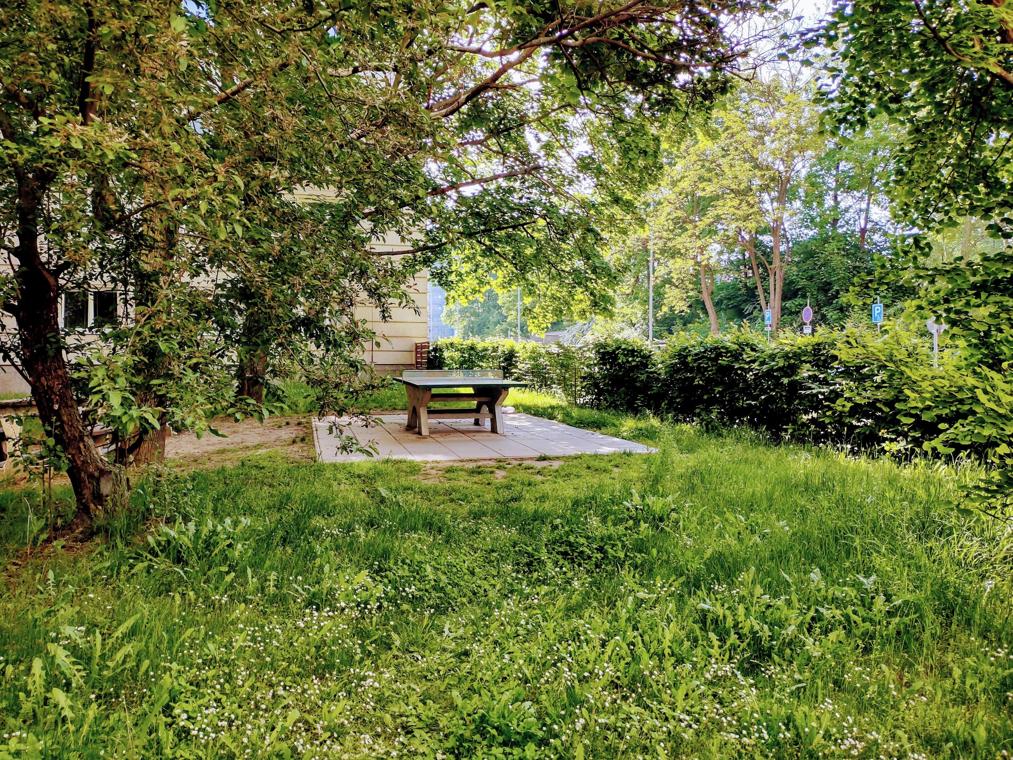 A park with a table and benches, surrounded by greenery and trees.