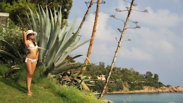 Un paysage côtier où l’on voit une personne debout près d’un grand agave, surplombant une étendue d’eau et une colline parsemée de bâtiments.