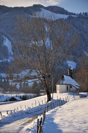 Sledging