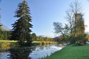 Land view from property