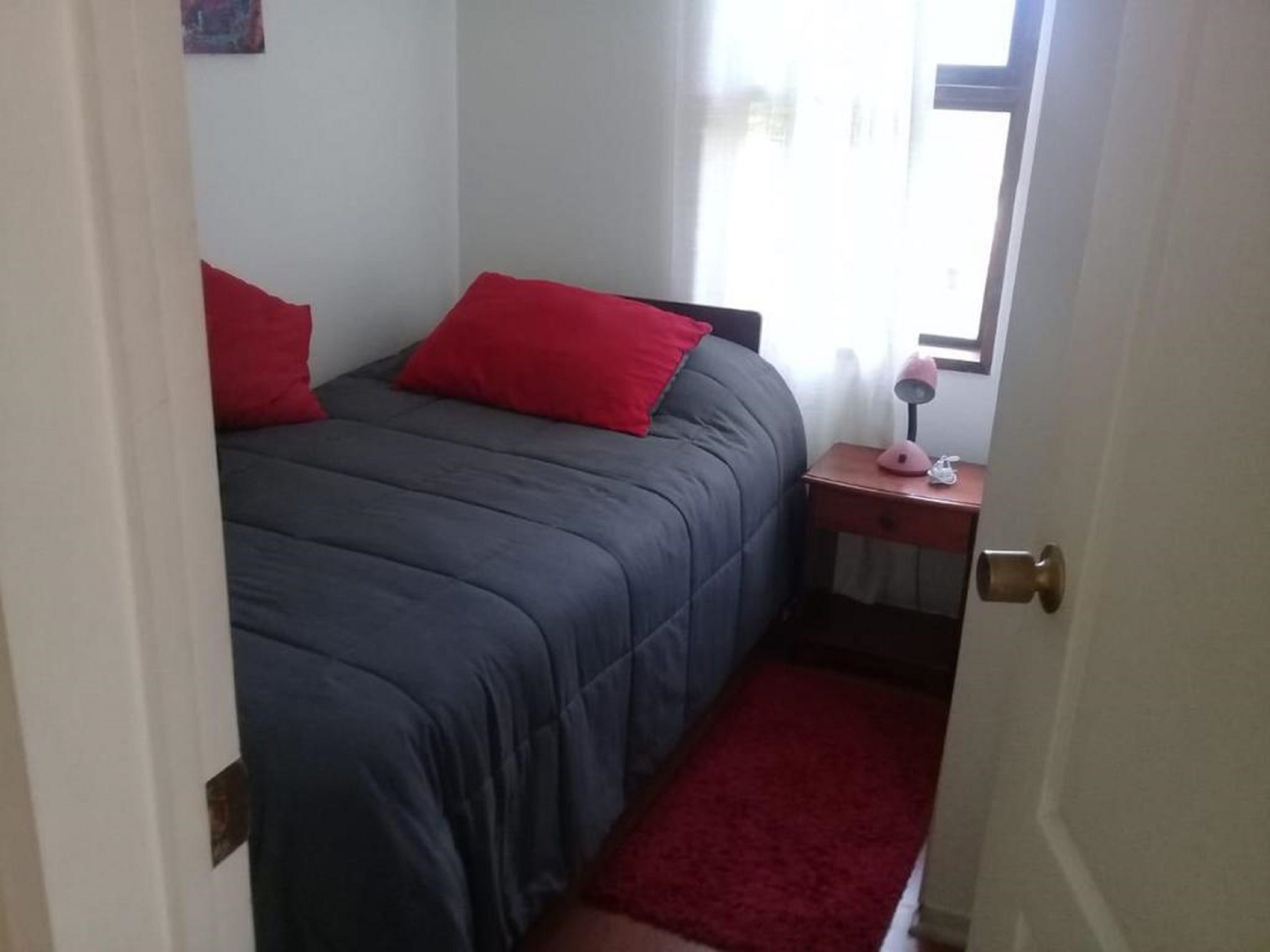 A bedroom with a bed, red pillows, a nightstand, a lamp, and a red carpet.