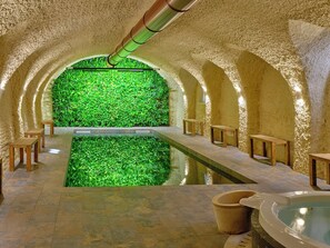 Wellnessbereich mit Pool in der Mitte, Bänken und einer grünen Wand.