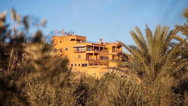 Un edificio de varios pisos con balcones, rodeado de palmeras y hierba seca.