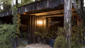 Zimmer, Mehrere Betten (Morning Tide Villa) | Unterkunftsgelände