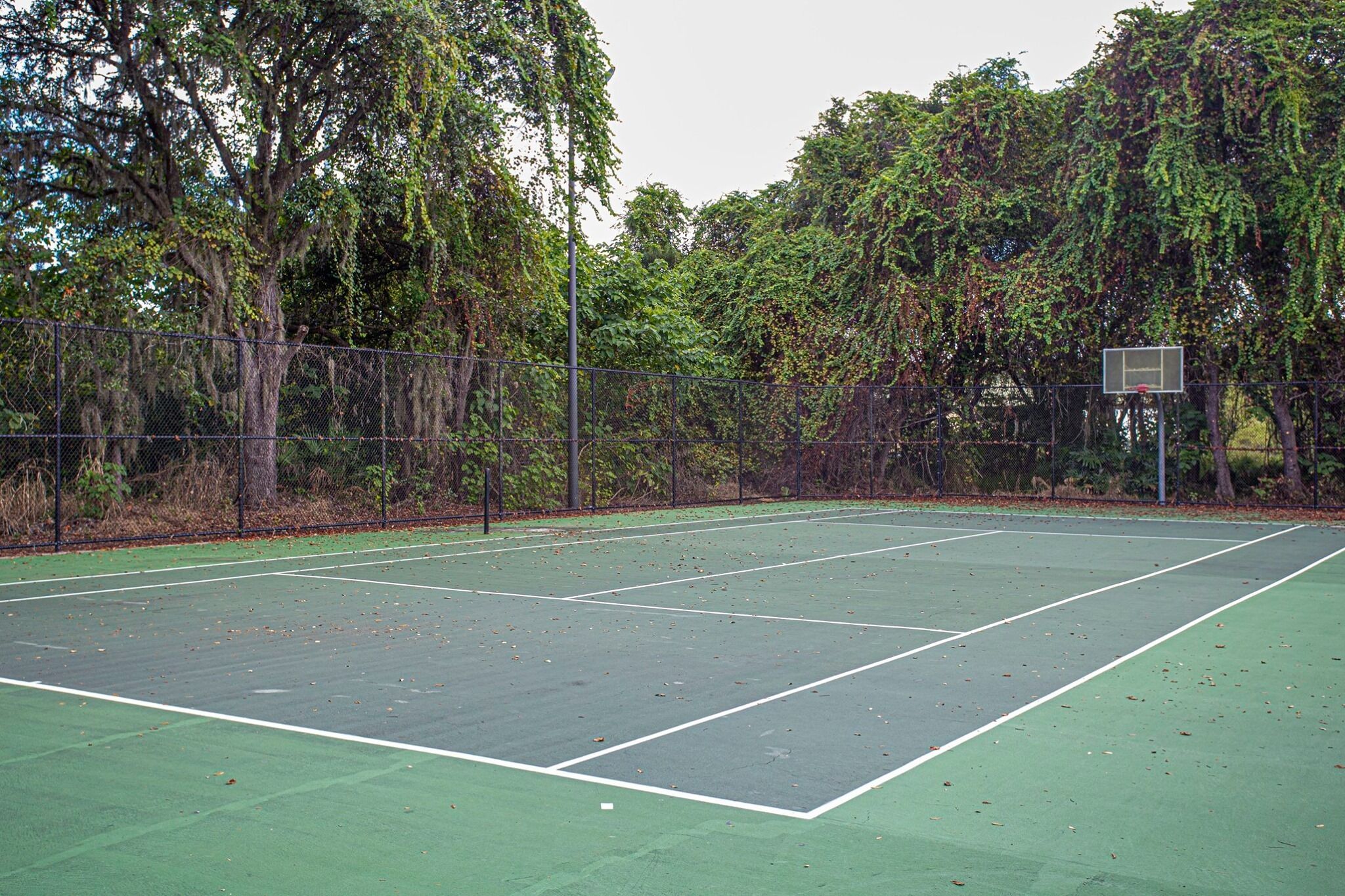 Ein Tennisplatz im Freien, umgeben von Bäumen.