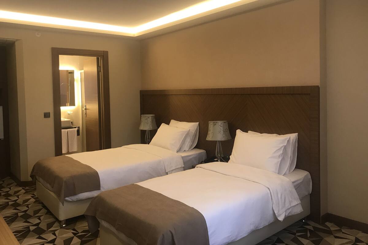 Minibar, free WiFi, bed sheets