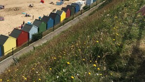 Ein Strand mit bunten Strandkörben und einer Wiese mit gelben Blumen.