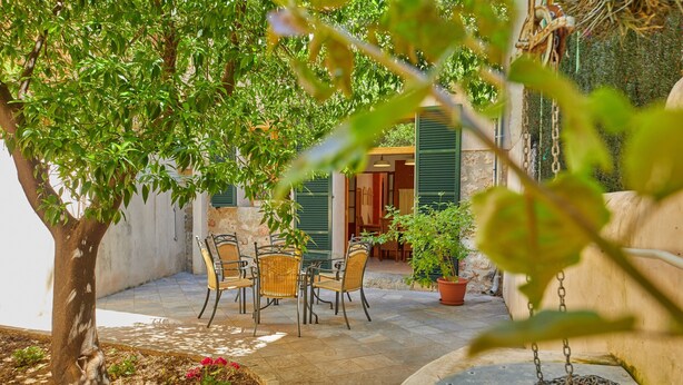 A patio with a table and chairs, surrounded by potted plants and a tree. - Casa Fortuny in Soller (Sóller)