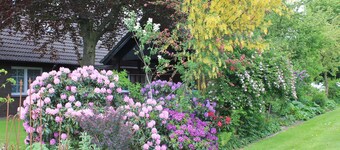 Apartment garden dream Friesland Varel Altjührden