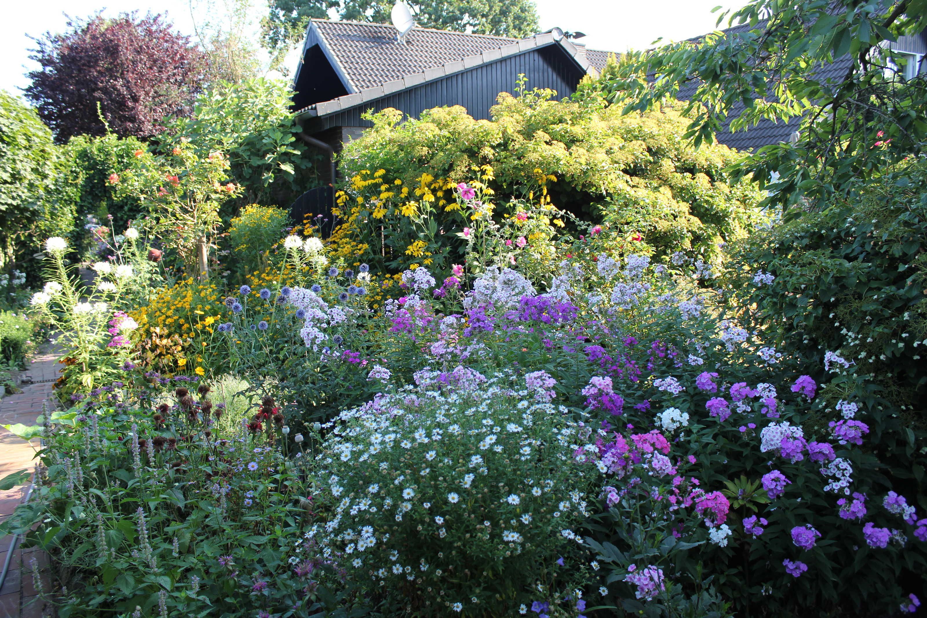 Un giardino con diverse fioriture e un edificio sullo sfondo.