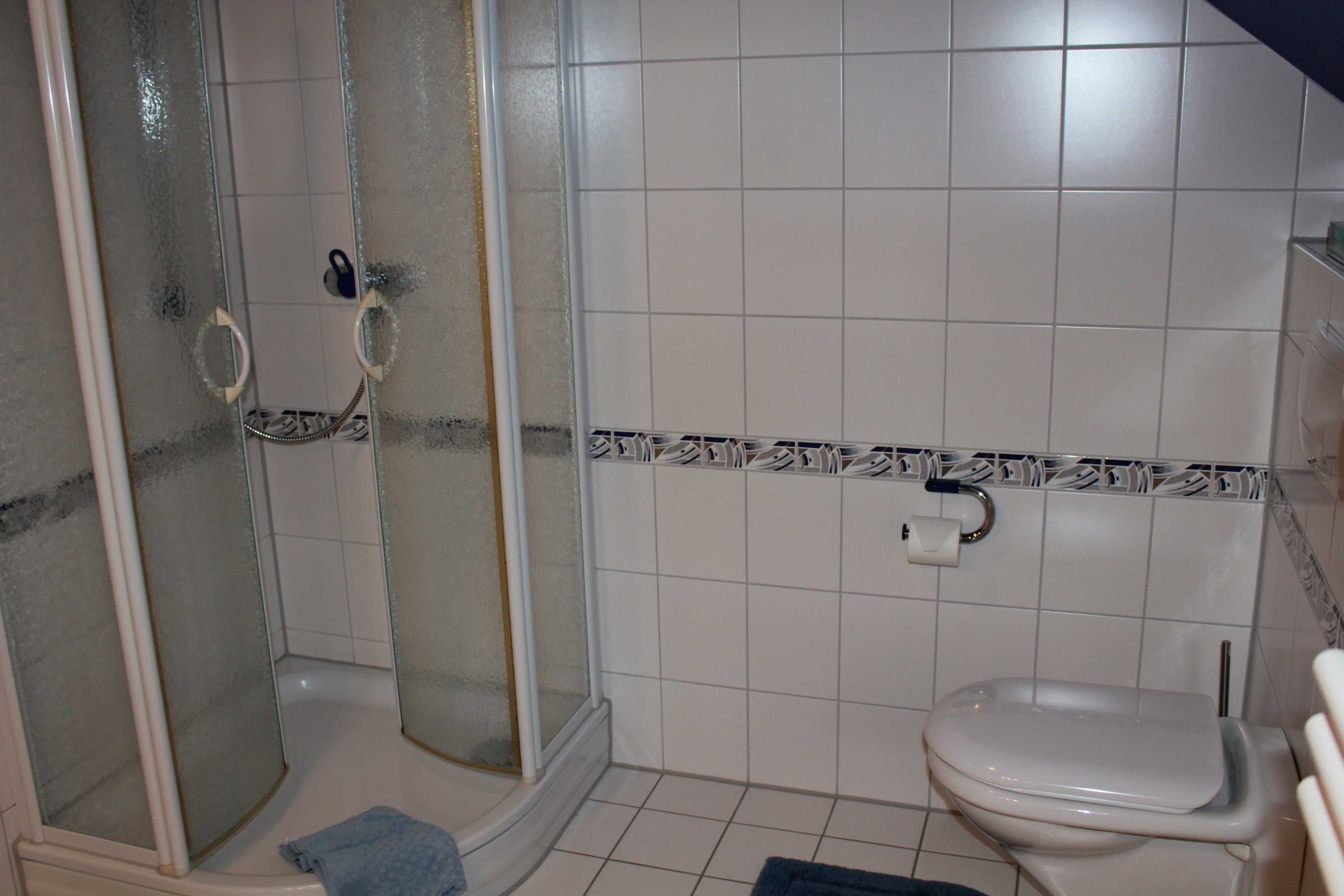 Ein Badezimmer mit einer Duschkabine, einer Toilette und einer gefliesten Wand.