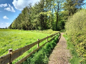 Image sans description, 5 de 15, bouton