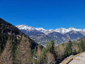 Paesaggio montano con cime innevate, fitta foresta e un sentiero lastricato con panchine.