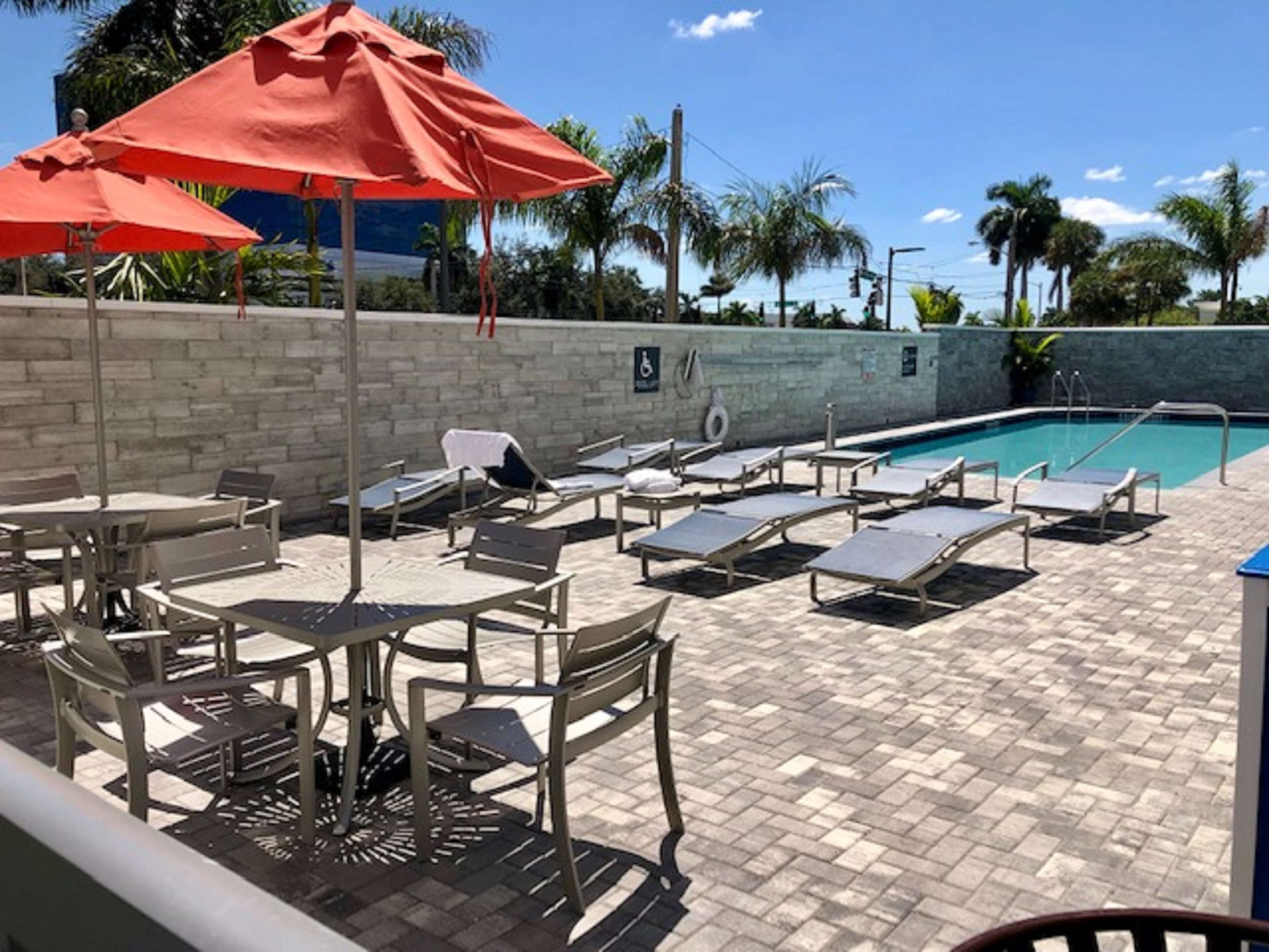 Zona junto a la piscina con sillones de descanso y mesas, piscina y palmeras al fondo.