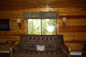 TV, DVD player, books, video library - Peace, Privacy and a Pontoon!! No steps in home or to water! (Eagle River)