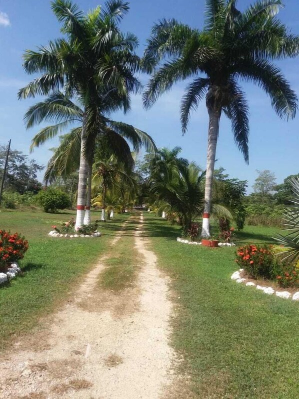 Property grounds - Casa Campestre en Arjona, un escape de la realidad (Arjona)