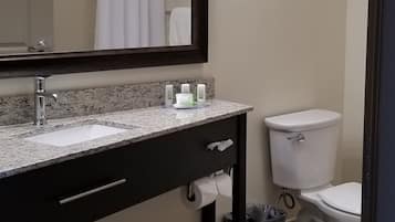 Une salle de bain équipée d’un meuble-lavabo, d’un lavabo, d’un miroir et de toilettes.