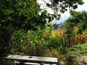 Tuin