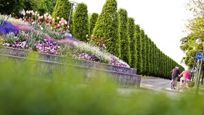 Un giardino con diversi tipi di fiori e siepi curate lungo una strada.