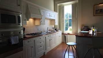 Deluxe Apartment (Apartment 3 ) | Private kitchen | Fridge, microwave, oven, stovetop