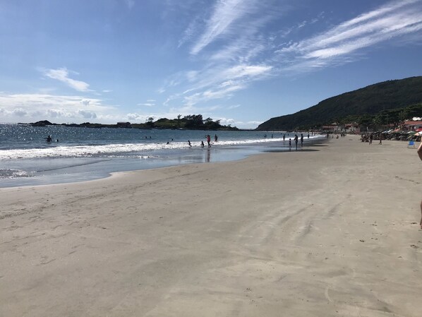 بالقرب من الشاطئ