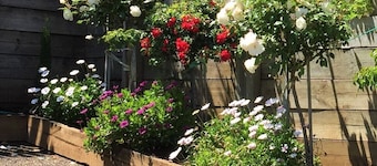 Ellie's Studio Apartment, Stanley