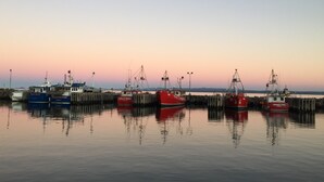 Un port où plusieurs bateaux de pêche sont amarrés à des quais en bois.