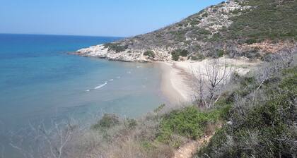 LIVING IN NATURE VILLA 200 m2.,4 bed 3 baths in 12.000 m2 field.
