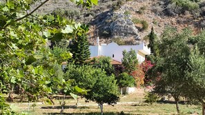 Property grounds -    LIVING IN NATURE VILLA 200 m2.,4 bed 3 baths in 12.000 m2 field.  (Kalogria)