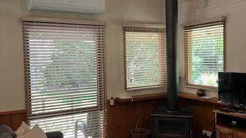 Smart TV, fireplace, DVD player, books