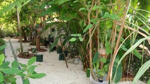 Un jardin où l’on trouve différentes plantes et différents arbres, notamment un grand arbre auquel est suspendu un pot.