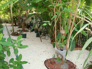 Terrein van de accommodatie