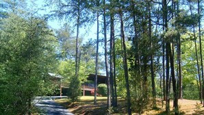 A pathway leading to a cabin surrounded by tall pine trees. - Mtn.View from Hottub, A+ Location 2 Mi to PF.Pkwy,Not up Mtn,Private,SUPERCLEAN (Sevierville)