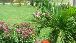 A well-maintained garden with various plants and flowers, a chain-link fence, and a grassy area.