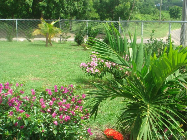 Parco della struttura