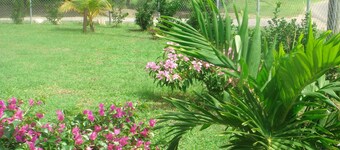 Cottage for rent near Dickenson bay beach
