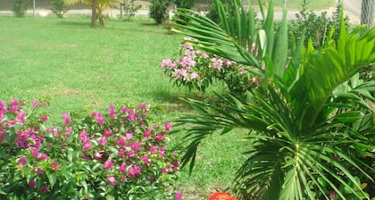 Cottage for rent near Dickenson bay beach