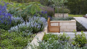 Een tuin met een houten bankje, verschillende planten en een stenen muur.