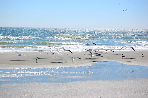 Large Oceanfront Pet Friendly Home perfect for Family Getaways at the Beachcombe